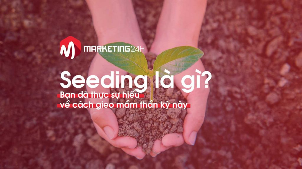 seeding-la-gi-marketing24h.vn