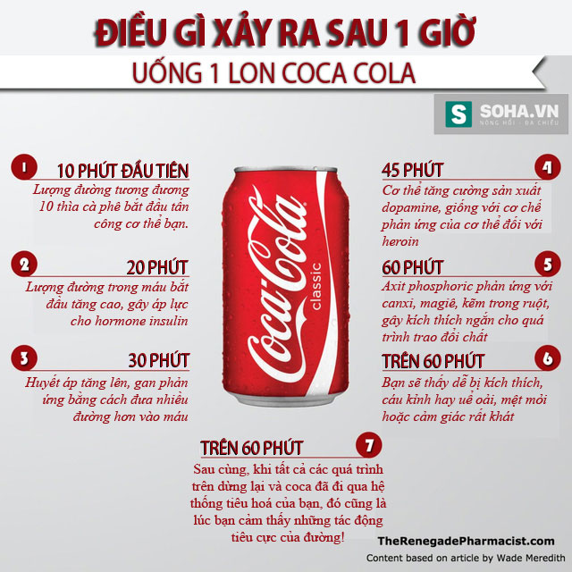 Ví dụ về chu kỳ sống của sản phẩm Coca-cola trong cơ thể con người (Ảnh: Soha)