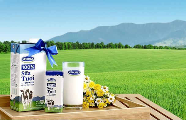 Vinamilk đứng thứ mấy thế giới? Vinamilk thương hiệu sữa hàng đầu Việt Nam với mục tiêu trong top các thương hiệu sữa nổi tiếng trên thế giới (Ảnh: vinatech)