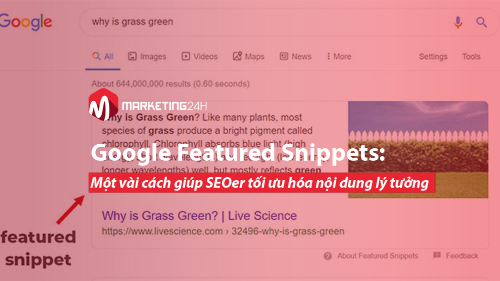 Google Featured Snippets: Một vài cách giúp SEOer tối ưu hóa nội dung lý tưởng
