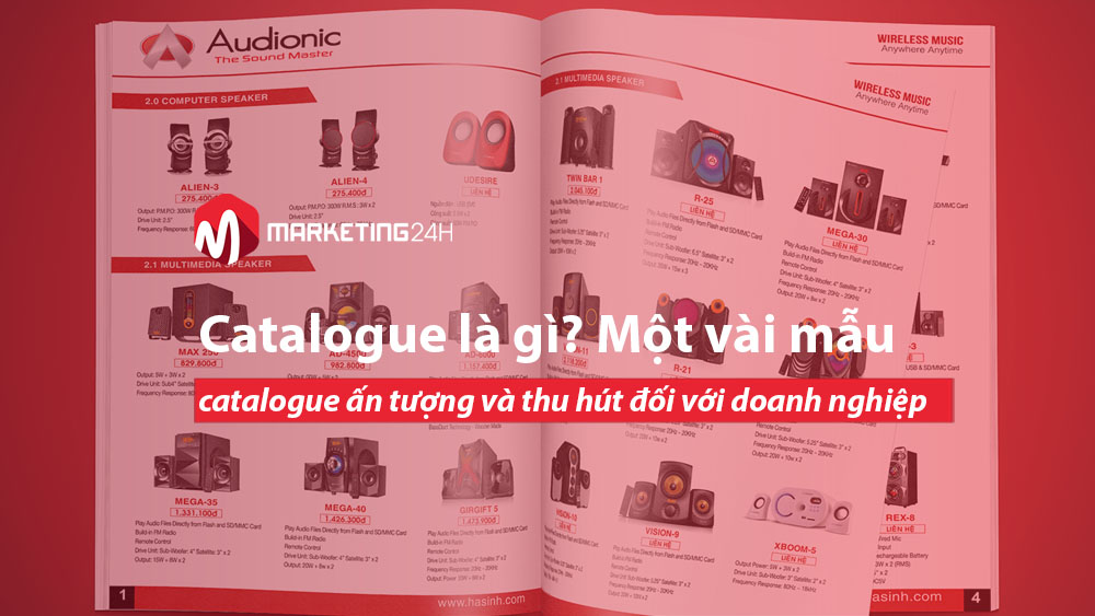 Catalogue là gì? Một vài mẫu catalogue ấn tượng và thu hút đối với doanh nghiệp